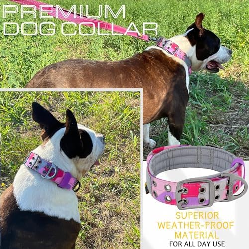 ADITYNA Heavy Duty Dog Collar for Extra-Large Dogs with Traffic Handle