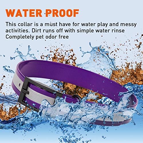 Dogline Biothane Translucent Reflective Waterproof Dog Collar Strong Coated Nylon Webbing with Black Hardware Odor- Proof for Easy Care Clean Fits Small Medium or Large Dogs - Purple 1" W x 18"-22" L