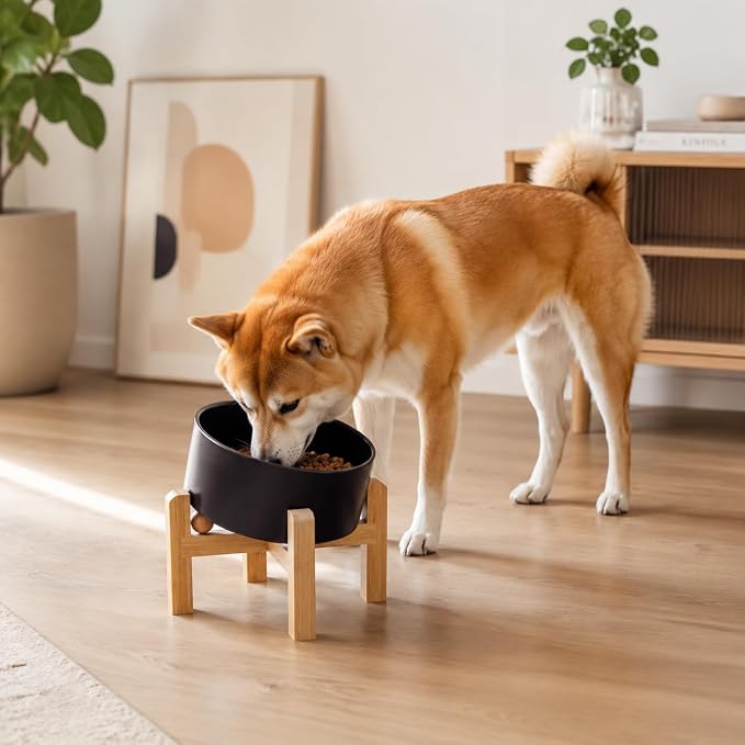 hjn Elevated Ceramic Dog Bowl/Raised Ceramic Dog Bowls with Bamboo Stand, 15°Slanted Raised Pet Feeder for Small Medium Dogs and Cats, Non-Slip Heavy Weighted Design (Black, 3.6Cup)