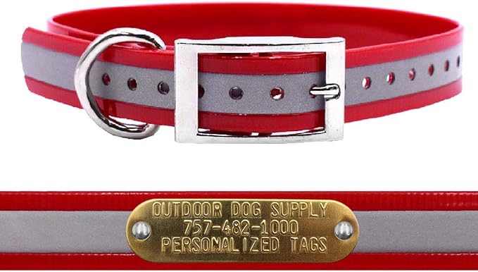 Outdoor Dog Supply 1" Heavy Duty Reflective Waterproof D-Ring Dog Collar for Medium & Large Dogs with 3/4" Custom Brass Nameplate (Reflective Red, 18")