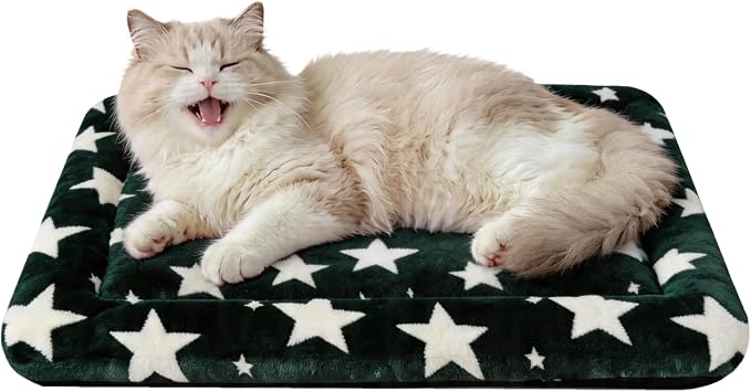 Dog Bed Mat – Soft & Comfortable Dog Kennel Pad for Crate – Durable Crate Bed & Mat for Dogs & Cats – Ideal for Crate, Kennel, and Home Use (Big&Little Stars Green, XS(18"*14"*1.5"))