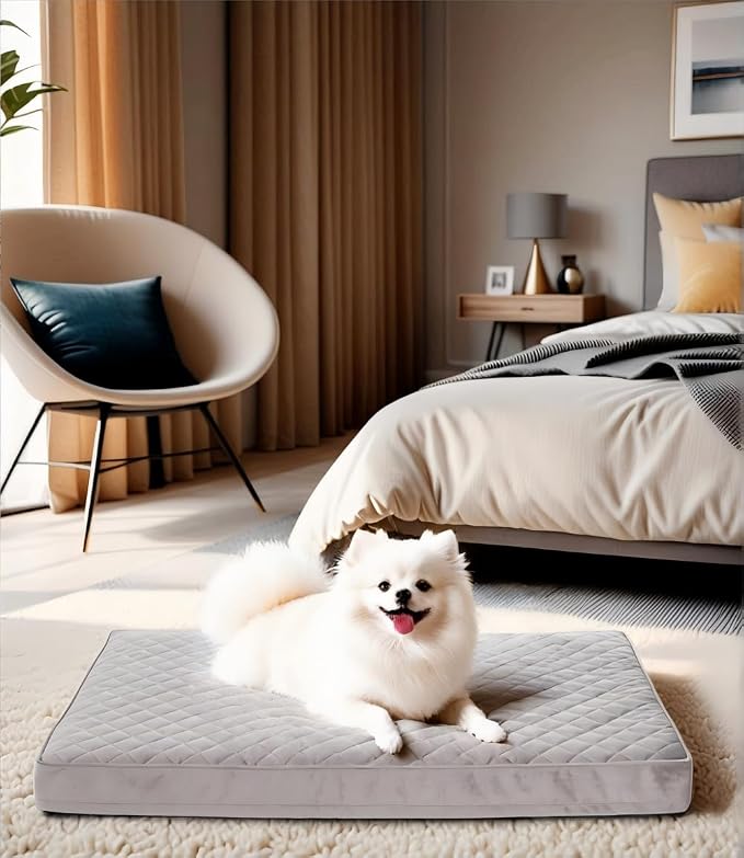 NUPIDA Orthopedic Dog Beds for Small Dogs Waterproof with Removable Washable Cover and Non-Slip Bottom, Quilting Dog Bed for Crate, 23x17 Inch, Light Gray