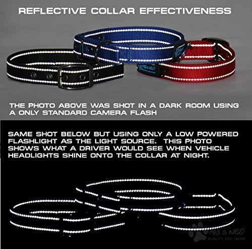 Max and Neo MAX Reflective Metal Buckle Dog Collar - We Donate a Collar to a Dog Rescue for Every Collar Sold (X-Small, Purple)