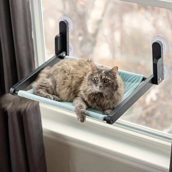 Luli & Cat Cat Window Perch: Cordless, Foldable Wooden Cat Window Hammock with Black Wood and Blue Fabric Seat