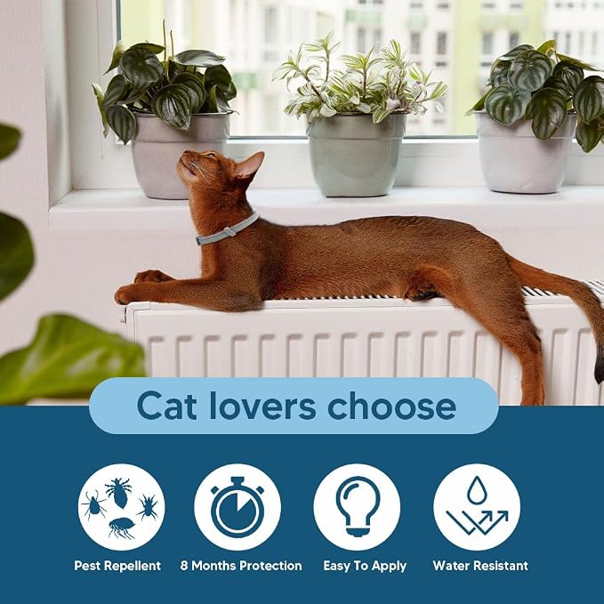 Flea Collar for Cats, Cat Flea Collar, Kitten Flea Collar, Flea and Tick Collars for Cats, Adjustable Cat Tick Collar with 8 Months Protection-2 Packs