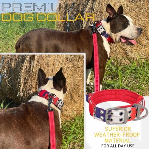 ADITYNA Heavy Duty Dog Collar for Medium Dogs with Traffic Handle