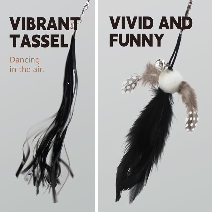 SONGWAY Cat Wand Toys for Indoor Cats - Cat Toy Set with Retractable Teaser Wand and 6 PCS Feather Toy Refills, Dragonfly Tassel Cat Toys Interactive, Black