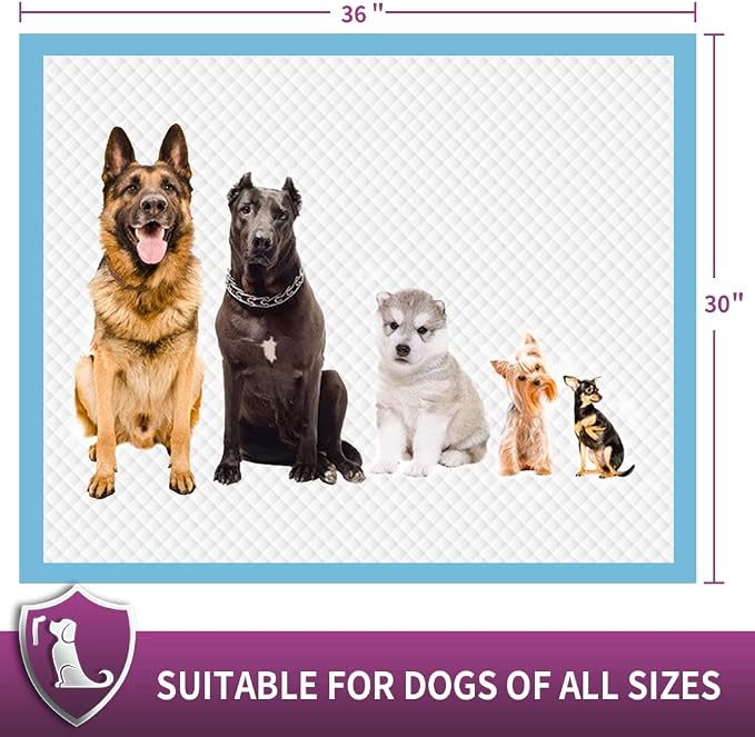 IMMCUTE Dog Pee Pads Extra Large, 30" x 36", 30 Ct, Jumbo-Size Pee Pads for Dogs, Thicken Puppy Pads XL Pet Training Pads, Super Absorbent & Leak-Proof Potty Pads for Dogs
