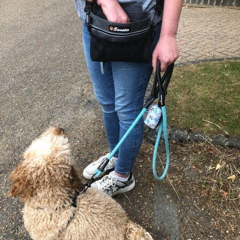 Zerosky Sweetie Rope Dog Lead - Strong Leash Blue with 2 Comfortable Padded Handles 5 FT for Medium & Large Size Pets - Reflective, Weather Resistant & O-Ring