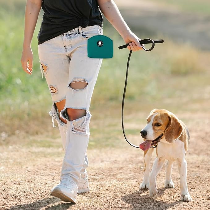 Dog Treat Pouch Magnetic Closure Small Dog Training Treat Pouch Pocket Sized Small Dog Treat Pouch with Clip (Green)