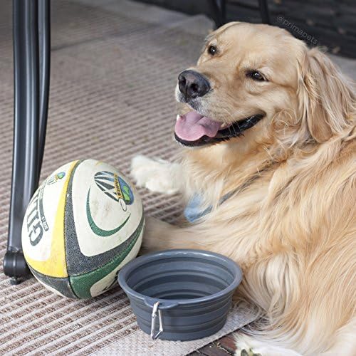 Collapsible Silicone Water Travel Bowl with Clip for Dog and Cat, Portable and Durable Pop-up Feeder for Convenient On-The-go Feeding – Size: Large (5 Cups) Grey – 2 Pack