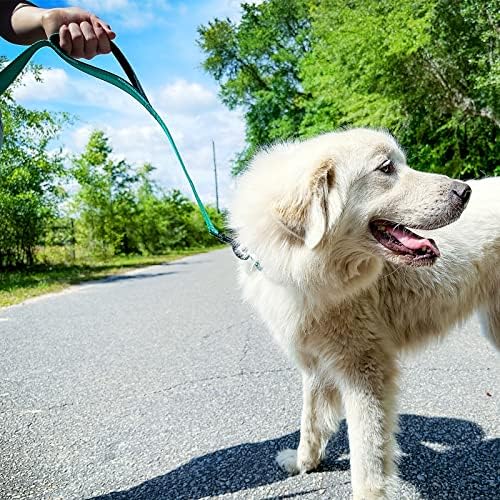 Joytale Dog Leash for Large Dogs that Pull, Double Handle, 6FT, Teal