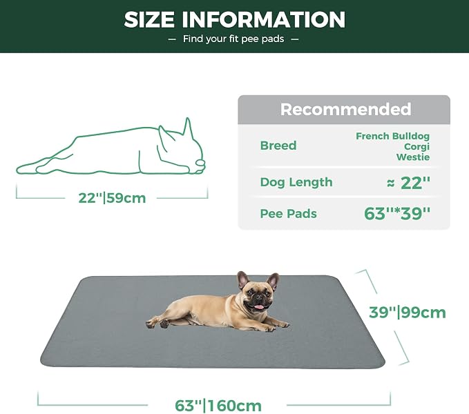 FXW Washable Pee Pads for Dogs, Super Absorbent, 39" x 63", 1 Pack | Machine washable, Non-slip backing, Fits 24"H 6-Panel FXW Rollick/Homeplus Playpens