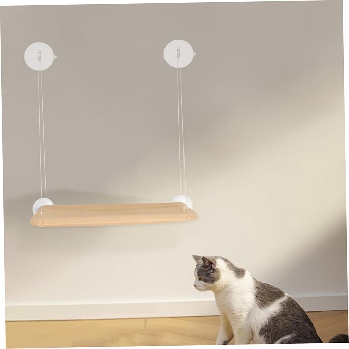 Toyvian 8Pcs Cat Window Perch Suction Cup Strong Crosshole Ring Design for Cats Transparent Window Mounts for Efficient Space Management Smooth Surfaces