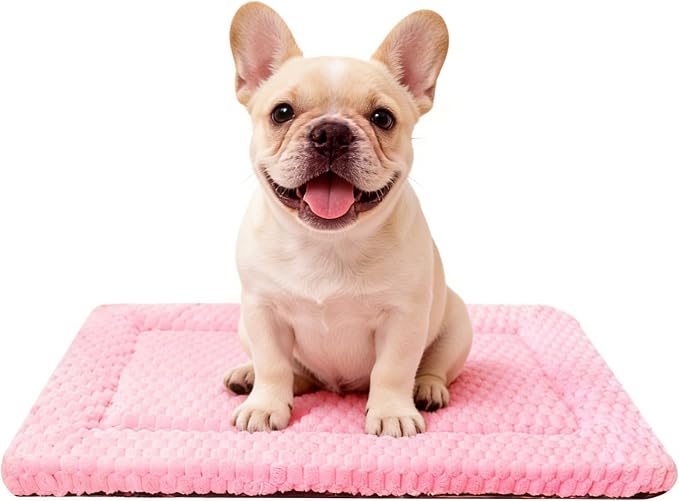 Dog Bed Mat - Durable & Cute Crate Dog Beds for Small Dogs & Cats, Comfortable Kennel Pad for Home, Crate & Travel