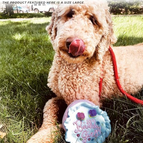 Haute Diggity Dog Birthday Girl Cake Plush Dog Toy, Funny Stuffed Dog Toy