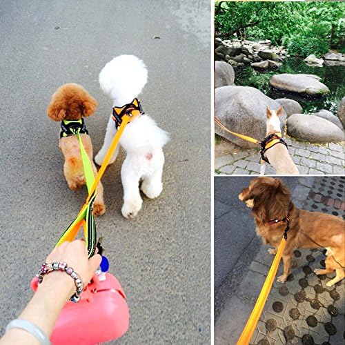 Creation Core Reflective Dog Leash Durable Padded Pet Leash Strap for Puppy Pet Leash Rope, Blue 3.6Ft Long 0.8" Wide