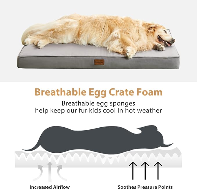 BFPETHOME Outdoor Waterproof Dog Bed for Large Dogs, Washable Cover, 54" | Outdoor & Indoor Use, Waterproof, For Medium, Large, Extra Large Dogs, Orthopedic, Egg Crate Foam, Up to 130 lbs