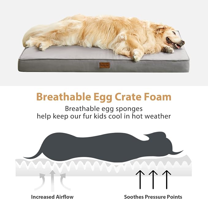 BFPETHOME Outdoor Waterproof Dog Bed for Large Dogs, Washable Cover, 36" | Outdoor & Indoor Use, Waterproof, For Medium, Large, Extra Large Dogs, Orthopedic, Egg Crate Foam, Up to 60 lbs