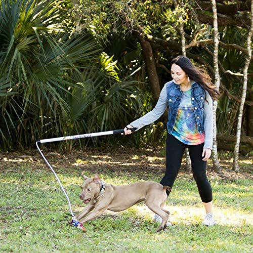 Squishy Face Studio Flirt Pole V2 with Lure - Durable Dog Toy for Fun Obedience Training & Exercise, Rainbow Tie Dye, Regular - 36 inch