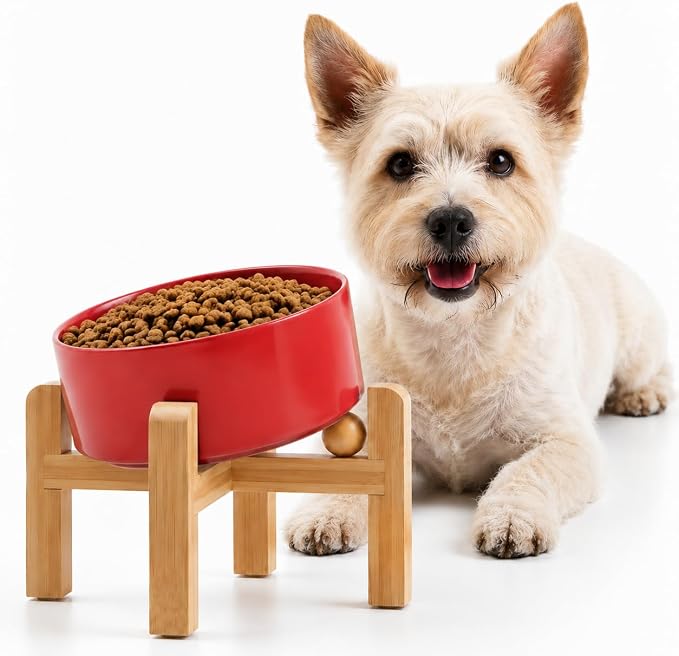 Petygooing Raised/Elevated 15°Slanted Ceramic Dog Bowl for Small Breeds,Tilted Anti Slip Pet Feeding Bowl,Food Water Dish with Stand for Cats and Small Dogs Puppy 13.5 OZ (5.1In / 1.7 Cups) Rust Red