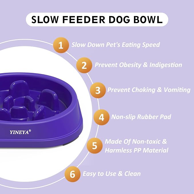 YINEYA Anti-Choking Slow Feeder Dog Bowls Small Size Dog, Slow Feeder Cat Bowl, Supplies and Puzzle for Pet