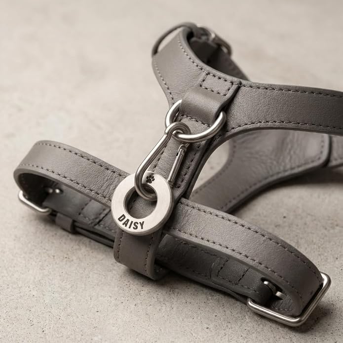 Solid Brass or Stainless Steel, Deep Engraved & Polished Dog/Pet ID Tag