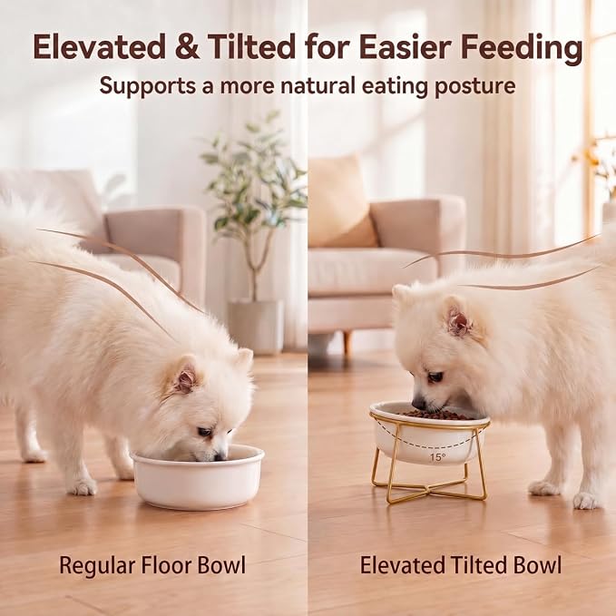 White Small Ceramic Tilted Elevated Cat Dog Bowl Raised Cat Food Water Bowl Dish Pet Comfort Feeding Bowls with Gold Iron Stand