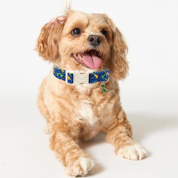 Dinosaur Dog Collar, Cute Boy Dog Collars for Giant Large Dogs - Blue Multicolor Dino Cotton Male Dogs Collar, Soft Adjustable Daily Pet Collars with Quick Release Buckle XL