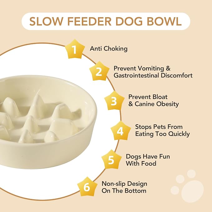 Havniva 7.3” Raised Slow Feeder Dog Bowls Set, 1.2 Cups Ceramic Slow Feeder Dog Bowl and 6.1” Dog Water Bowl with Elevated Wooden Stand Puzzle Dog Food Bowl for Small Dogs Anti-Gulping & Anti-Choking