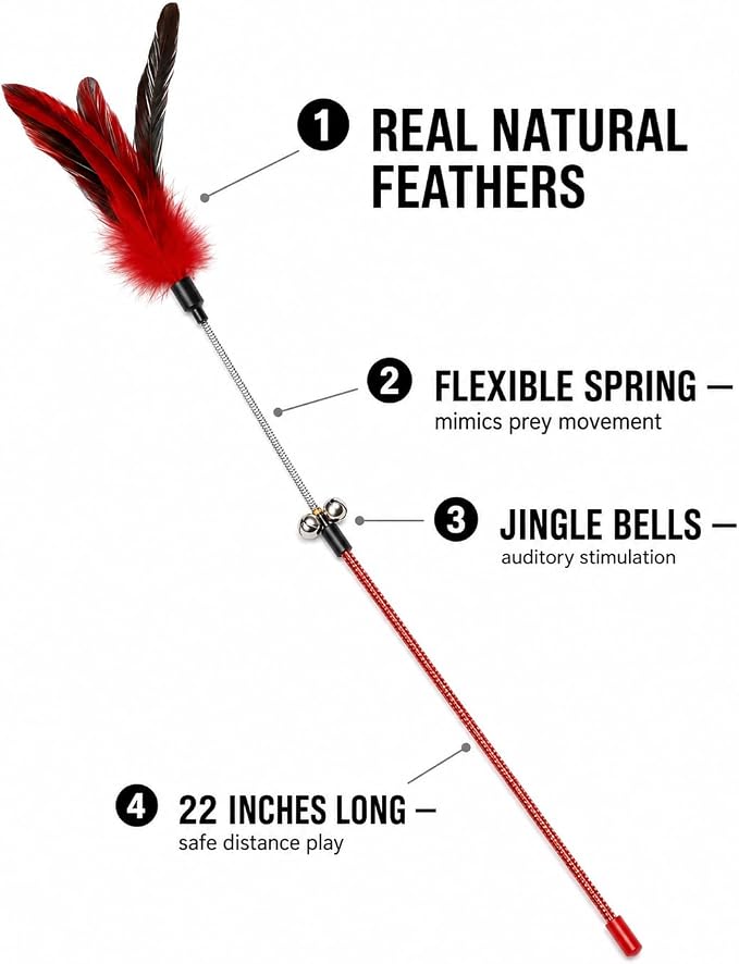 Cat Feather Wand Toy Set – 5 Different Feather Styles in One Pack – Interactive Wand Toys for Indoor Cats and Kittens – Durable Spring Design for Engaging Playtime