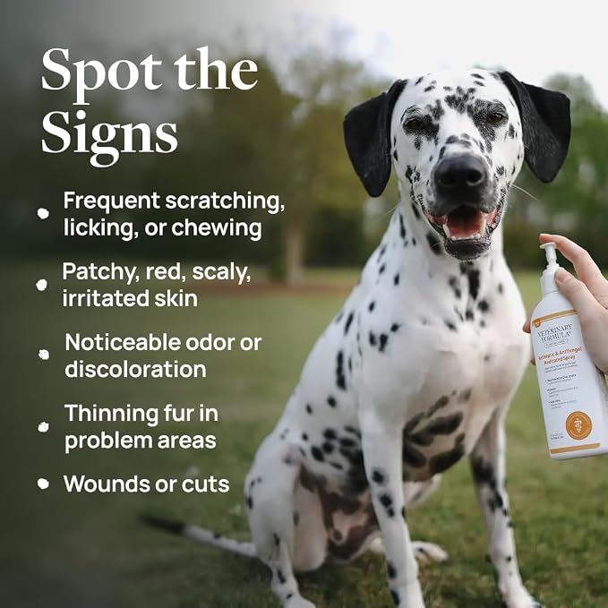 Veterinary Formula Clinical Care Antiseptic & Antifungal Shampoo + Spray | Complete antiseptic and antifungal shampoo and spray care for scaly, greasy or red skin in dogs and cats