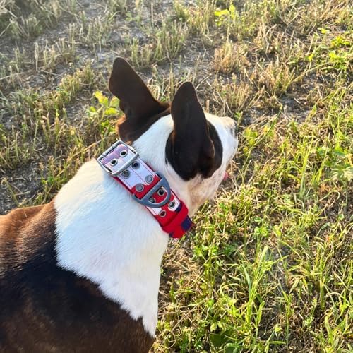 ADITYNA Heavy Duty Dog Collar for Large Dogs with Traffic Handle