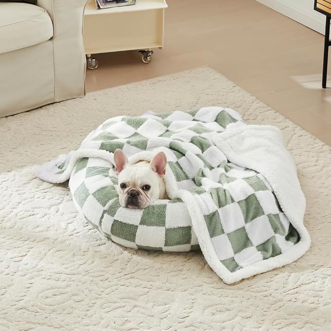 Ohocut Checkered Dog Blanket, Sage Green Jacquard Sherpa Blankets for Small Dog and Cats, Cute Aesthetic Style Fluffy Fleece Pets Blanket for Couch Protection Washable, 30"x40"
