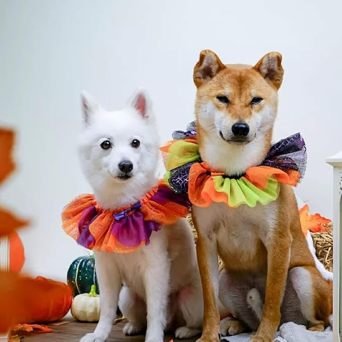 Blueberry Pet Halloween Party Adjustable Breakaway Costume Dog Collar in Cool Tone, X-Small