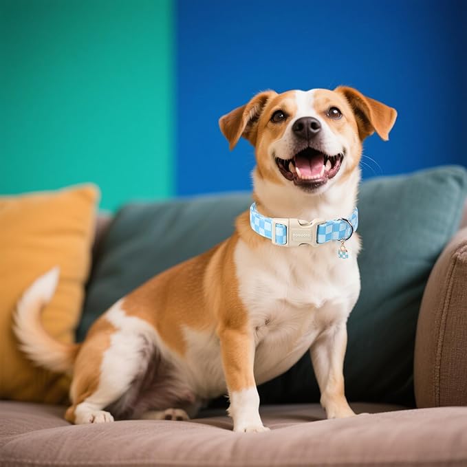 DOGWONG Blue Checkered Dog Collar, Blue Plaid Dog Collars, Adjustable Cute Boy Pet Collars Girl Design Dog Collar for Small Medium Large Dogs,L
