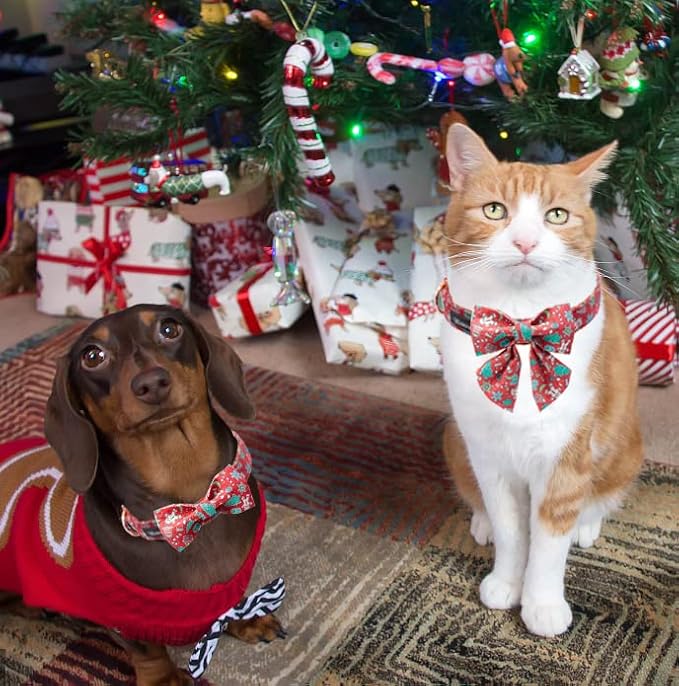 Maca Bates Christmas Red Gman Dog Collar with Bow Bowtie for Dogs Sailor Bow Tie Adjustable Breakaway Red Collars Accessories Gift for Extra Large Puppy with Golden Metal Buckle