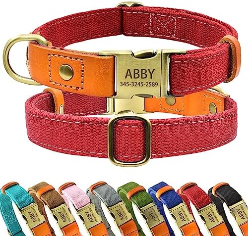 Personalized Dog Collar with Engraved Buckle for Small Medium Large Dogs, Custom Nylon & Genuine Leather Sewing Dog Collar with Name (M(3/4''*12''-19''),Red)