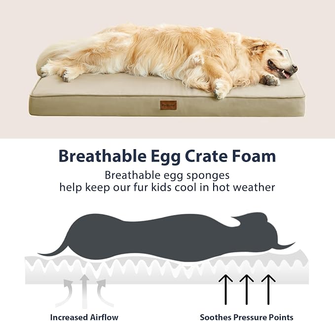 BFPETHOME Outdoor Waterproof Dog Bed for Large Dogs, Washable Cover, 54" | Outdoor & Indoor Use, Waterproof, For Medium, Large, Extra Large Dogs, Orthopedic, Egg Crate Foam, Up to 130 lbs
