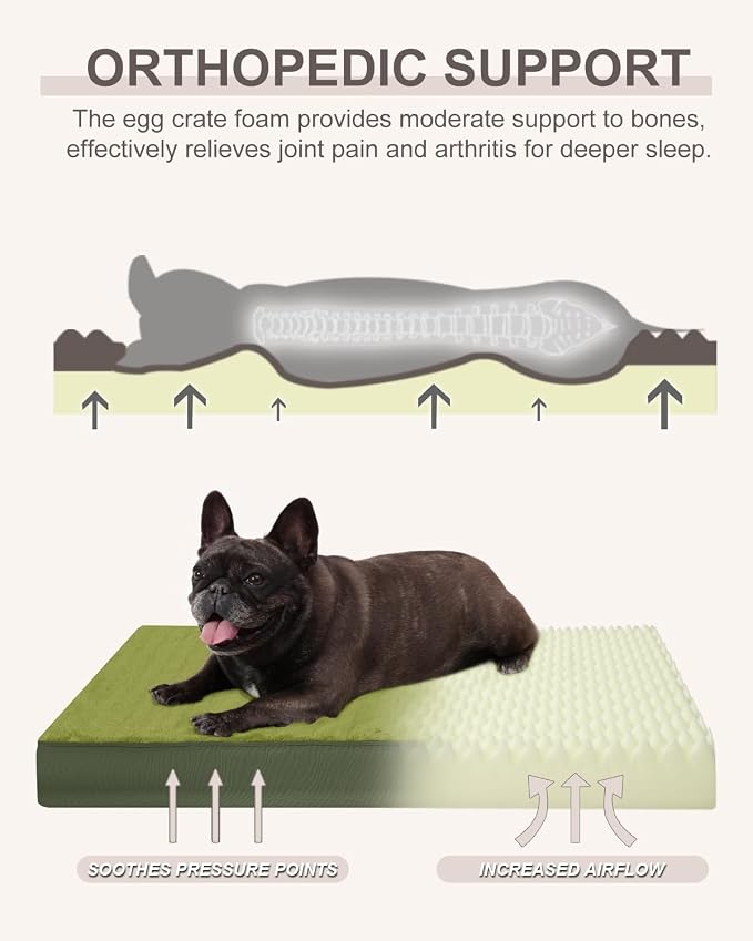 KSIIA Orthopedic Dog Bed for Small Dogs with Waterproof Lining, Green,23x17 | Deluxe Soft Plush Dog Crate Bed, Washable Pet Mat with Removable Cover & Egg Crate Foam for Small Dogs Sleeping & Relaxing