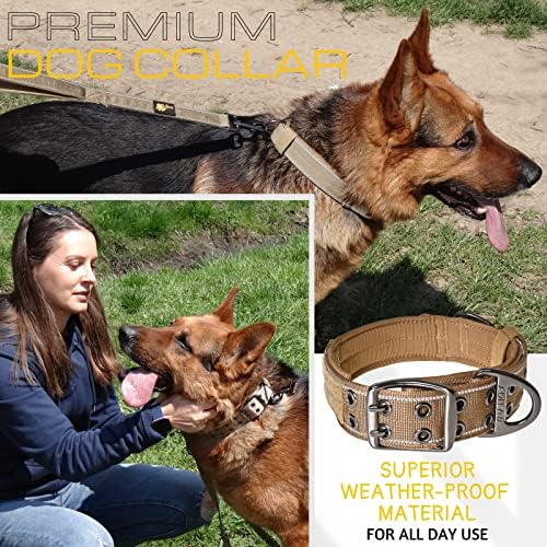 ADITYNA Heavy Duty Dog Collar for Medium Dogs with Traffic Handle