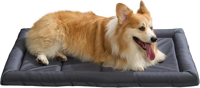BALANCE Oxford Dog Bed for Extra Large Dogs, Waterproof Dogs Crates Pad Outdoor XL Dog Crate Mat, Wipe Clean & Easy Rinse, 42 inch