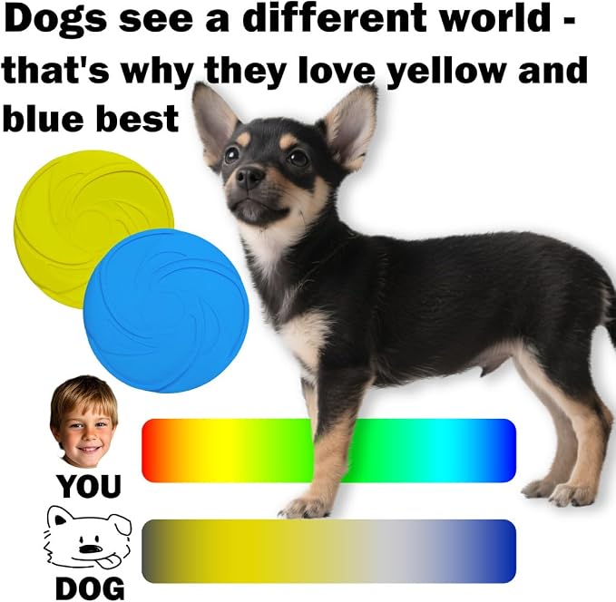 AMAZING TOYZ Dog Flying Discs 2 Pack Yellow and Blue Frisbee for Dog Toys, Soft Rubber Interactive Fetch Toy for Small Medium Large Dogs - Safe for Teeth and Chewers 20cm