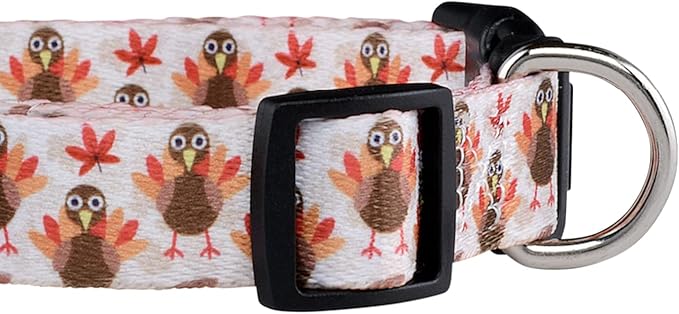 Native Pup Thanksgiving Dog Collar- Fall Collars for Dogs- Autumn Leaf, Turkey, Pumpkin Pie, Holiday Leaves- Girl Boy Puppy- Adjustable for Small, Medium, Large Breeds (Turkey, Medium)