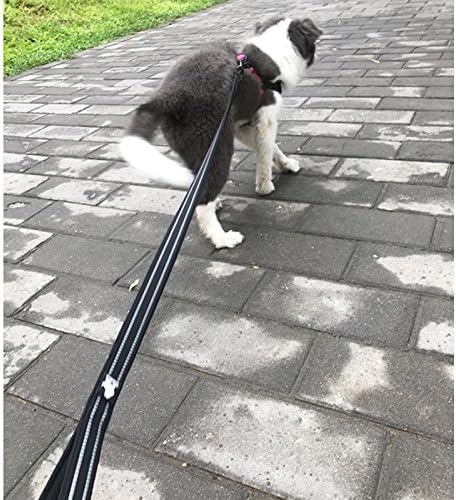 Creation Core Reflective Dog Leash Durable Padded Pet Leash Strap for Puppy Pet Leash Rope, Black 6.5Ft Long 1" Wide