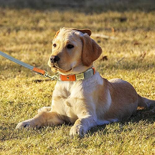 Personalized Dog Collar with Engraved Buckle for Small Medium Large Dogs, Custom Nylon & Genuine Leather Sewing Dog Collar with Name (L(1.0''*15''-23''),Gray)