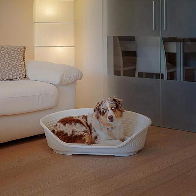 Ferplast Cat Bed, Plastic Dog Bed Medium, Ventilation Holes and Non-Slip Rubber Feet for Added Stability 82 x 59,5 x h. 25 cm. White | More hygiene, comfort and freshness thanks to the ventilated and easy to clean structure