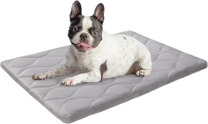 BEAUTYZOO Dog Crate Pad Washable Ultra Soft Pet Kennel Mat Medium, 30" Gray | Ultra Soft Crate Pad,Anti-Slip Bottom,Waterproof Lining Protects Floors & Furniture,Comfortable Cozy Mats for Cage Car Travel