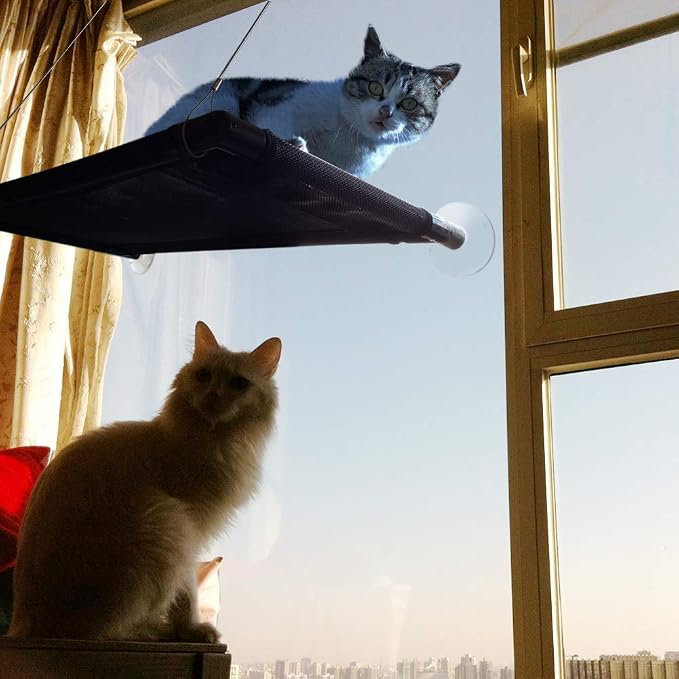 Cat Perch Cat Window Perch Window Cat Perch Hammock Cat Window Hammock Bed Cat Window Seat Kitty Window Sunny Seat Durable Big Pet Perch With Upgraded 4 Big Suction Cups Cat Bed Holds Up To 60lbs