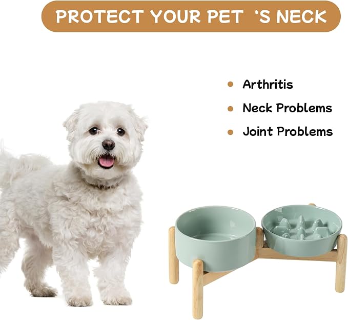 Havniva 6.1” Raised Slow Feeder Dog Bowls Set, 0.9 Cups Ceramic Slow Feeder Dog Bowl and 6.1” Dog Water Bowl with Elevated Wooden Stand Puzzle Dog Food Bowl for Small Dogs Anti-Gulping & Anti-Choking